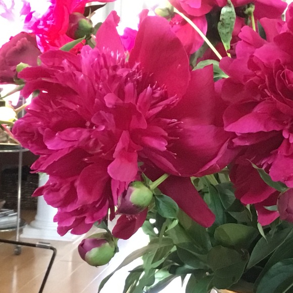 ALL DENIM REDUCED TODAY - Picture 1 of 2